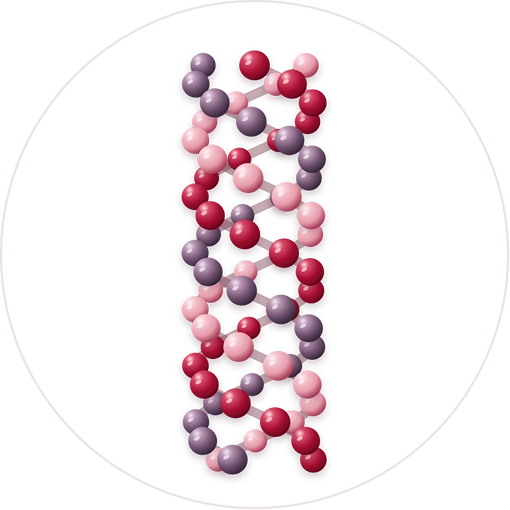 Natural Pharmaceuticals skin.essentials byAnne.li® Ilustracja przedtawiająca cząsteczki standardowego kolagenu